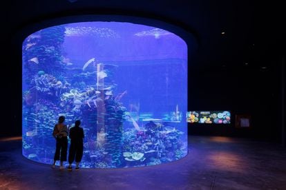Visitors inside the aquarium.