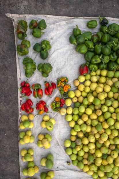 Frutas y verduras dispuestas sobre una tela en el mercado de Sor de Saint Louis.