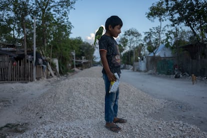 Alexis 8 años, habitante de la colonia 2 de Octubre en Tulum, Quintana Roo.