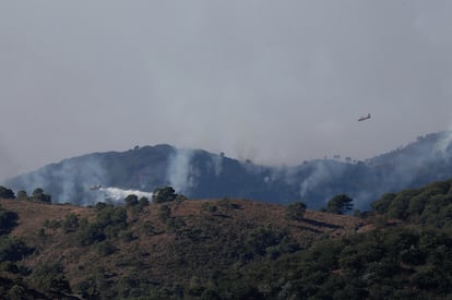 Aviones especializados en extinción de incendios sobrevolaron este viernes la zona quemada de Sierra Bermeja.