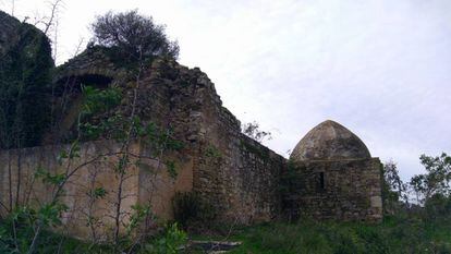 Ruinas de la iglesia visigoda de Barbate entre maleza.