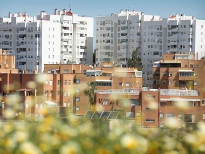 Bloques de viviendas de la Sareb en Camas (Sevilla), este lunes.