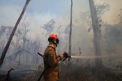Un bombero apaga un fuego en Mato Grosso, Brasil, este miércoles.