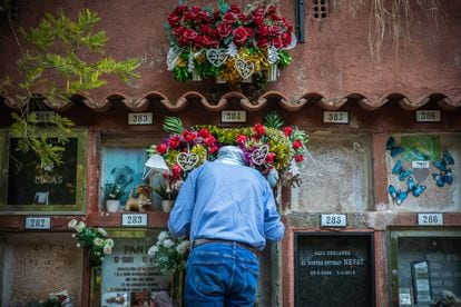 cementerio animales barcelona