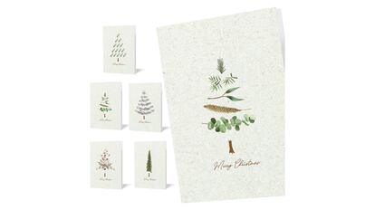 Tarjetas De Navidad Con Petirrojo Y Bayas - Caja De 10 Unidades - Diseño Dorado Y Sobres Blancos Incluidos