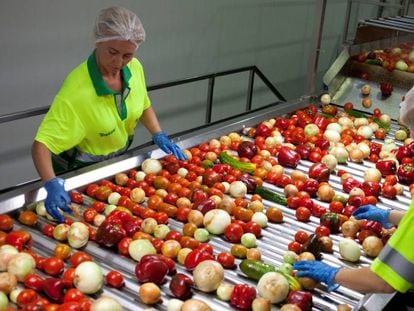 Dos trabajadoras seleccionan hortalizas en la planta actual de Alvalle en Murcia