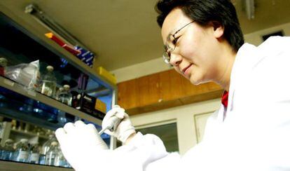 Chen Hualan en su laboratorio de Harbin (China).