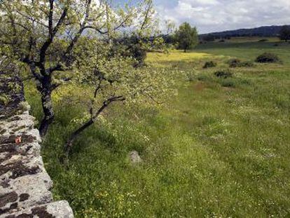 Para crear cualquier finca registral hay que identificar su ubicaci&oacute;n y linderos tomando como base el Catastro. 