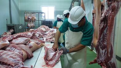 Un trabajador despieza un cerdo en una fábrica cárnica del municipio de María (Almería). En vídeo, reportaje sobre cómo se trabaja dentro de las instalaciones de una fábrica cárnica en tiempos de coronavirus, dentro de la serie 'Dale una vuelta'.