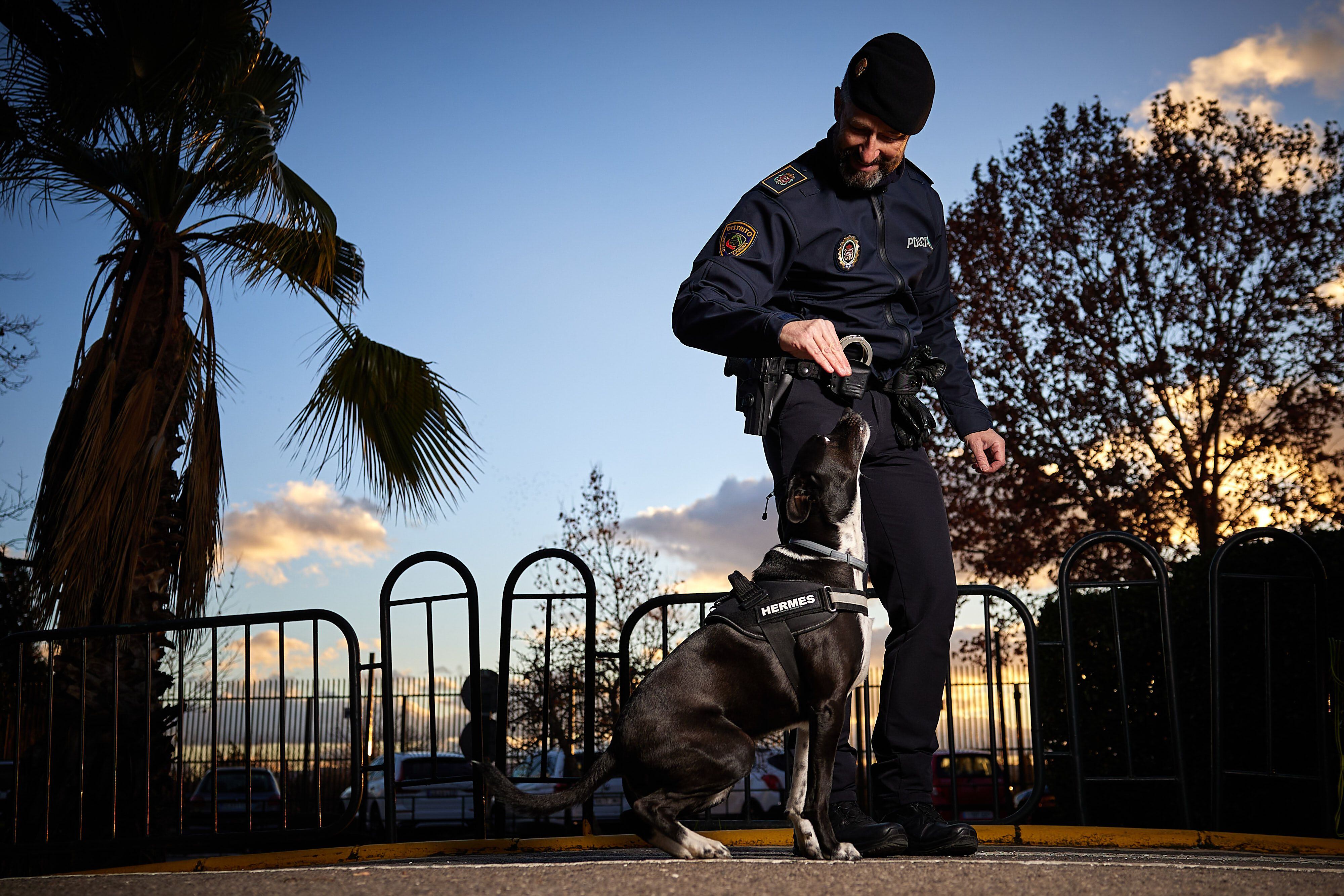 El perro Policía Hermes, obedece a su dueño y compañero, el agente Antonio Ordoñez de la Unidad canina de la Policía Local de Granada.