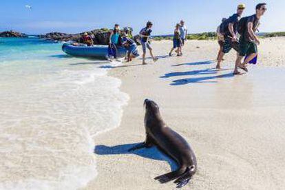 Turistas junto a un león marino en Galápagos.