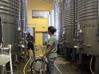 Un momento del proceso de producción del vino en el interior de las instalaciones de las Bodegas Peique.