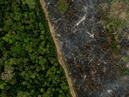 Vista aérea de una zona quemada de la selva del Amazonas, cerca de la ciudad de Porto Velho, Brasil, el pasado septiembre.