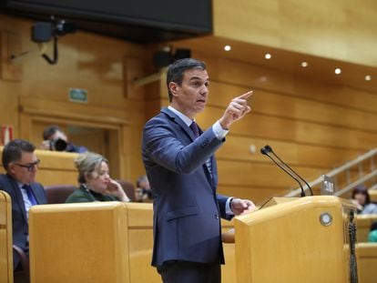 El presidente del Gobierno, Pedro Sánchez, comparece en el Senado durante el pleno.