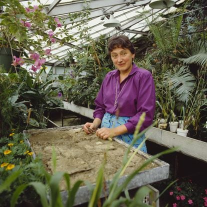 La bióloga Lynn Margulis en 1990.