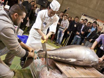 El chef tokiota Ya Hayamizu san inicia el corte del atún.