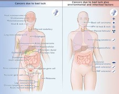 Diagrama amb els tumors analitzats, a l'esquerra, els que són causats princpalment pel factor de sort; a la dreta, els de la classe en què intervenen a més factors ambientals i hereditaris