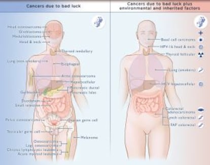 Diagrama amb els tumors analitzats, a l'esquerra, els que són causats princpalment pel factor de sort; a la dreta, els de la classe en què intervenen a més factors ambientals i hereditaris