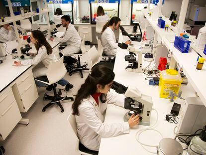 Laboratorio en la Facultad de Farmacia del CEU en Montepríncipe, el pasado diciembre.