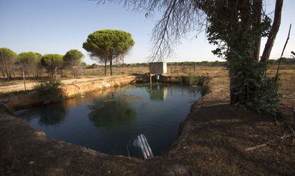 Balsa en una finca entre Lucerna del Puerto y Moguer.  