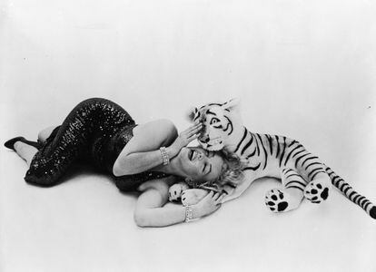 La estrella de cine estadounidense Marilyn Monroe juega con un tigre de peluche, en 1957.