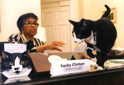El gato de los Clinton, Socks (Calcetines en inglés), en la Casa Blanca.