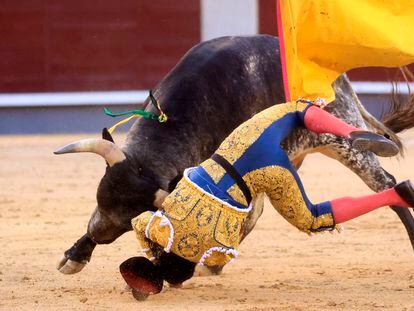 Un instante de la tremenda voltereta que Mario Navas sufrió en el sexto novillo de la tarde.