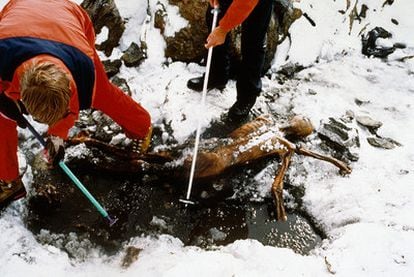 Ötzi, <i>el hombre del hielo,</i> fue hallado en 1991 en la planicie subglaciar de Tisenjoch, entre Austria e Italia.