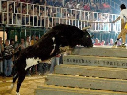 El toro 'Ratón', en las fiestas de Albal, Valencia, en 2006.
  