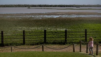 Marisma de Doñana desde El Rocío (Huelva).