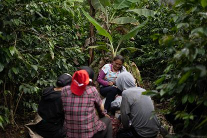 Recolectores de café toman un descanso durante la cosecha en el poblado de Ixhuatlán.