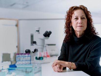 Judith Campisi, en su laboratorio de senescencia celular del Instituto Buck para la investigación sobre el envejecimiento.