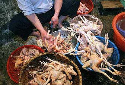 Un vendedor parte un pollo en el mercado de Luong Su de Hanoi, la capital vietnamita.