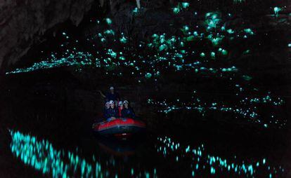 Travesía en barca en la cueva de Glowworm, en Waitomo (Nueva Zelanda).