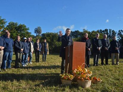 Mauricio Macri, en una plantación de cítricos en Concordia.