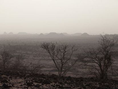 Llanura en proceso de desertificación cerca de Yayá (Níger).