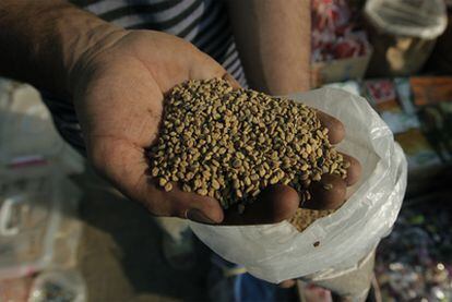 Un tendero egipcio muestra semillas de fenogreco.
