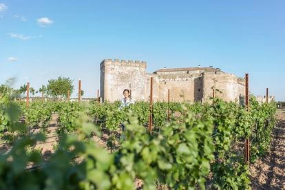 Algunas de las viñas del hotel y bodega Posada Real Castillo del Buen Amor en Villanueva de Cañedo, en el municipio salmantino de Topas.  