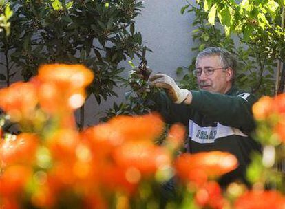 Ignacio Fernández Toxo, floricultor con pedigrí, en la terraza de su casa, en Madrid.