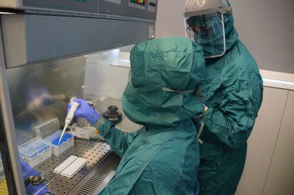 Dos investigadores del centro Príncipe Felipe de Valencia, durante el proceso de pruebas de detección del virus en muestras de saliva.