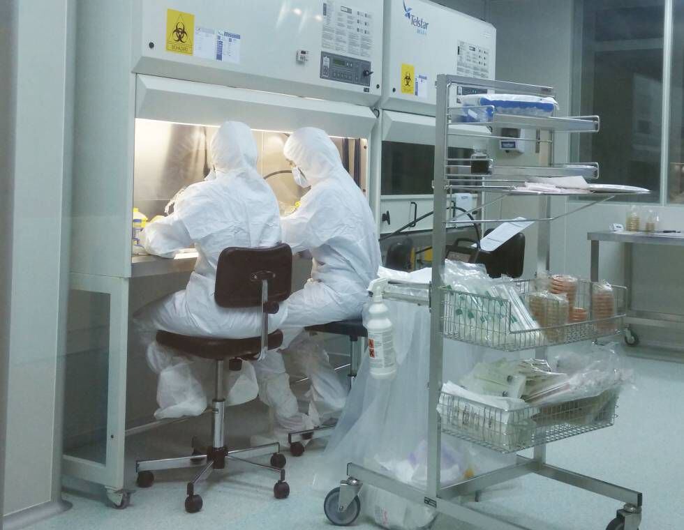 Paula Río y Susana Navarro manipulan células madre de un paciente en la sala estéril del Ciemat.