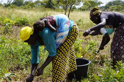 Maimuna es de las pocas mujeres desplazadas que explica con claridad como huyó de su pueblo y caminó durante cinco días hasta llegar a Bobo-Dioulasso. La mayoría prefieren no hablar o tienen recuerdos difusos. La organización Médicos Sin Fronteras ha desplegado por primera vez ayuda psicológica en los campos. El Estado también ofrece este servicio a las mujeres que llegan a la ciudad.