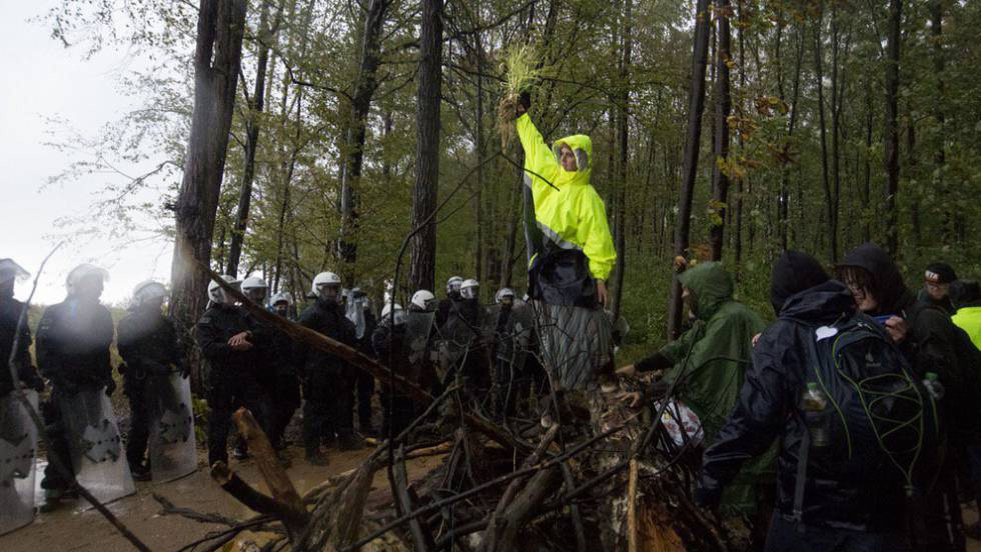 Alemania detiene la tala del bosque de Hambach, que iba a ser arrasado por  la ampliación de una mina | Sociedad | EL PAÍS