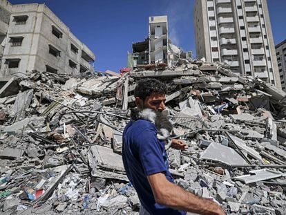 Un palestino, con un gato rescatado entre las ruinas de un edificio bombardeado por Israel, este martes, en Gaza.