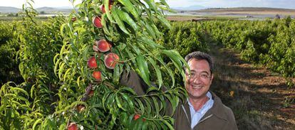 Atanasio Naranjo, responsable de Tany Nature, en sus 2.000 hectáreas de cultivos.