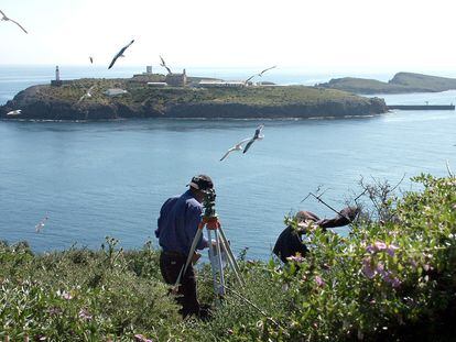 Un topógrafo del Instituto de Cultura Mediterránea de Melilla trabaja en la Isla del Congreso, una de las tres que componen el archipiélago de las Chafarinas.