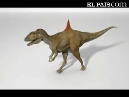 Animación del dinosaurio 'concavenator' basada en los análisis científicos de Ortega, Escaso y Sanz.