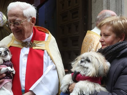 El Padre Ángel bendice a cientos de mascotas en la iglesia madrileña de San Antón.