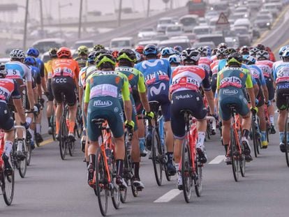 El pelotón, en el Tour de los Emiratos hace unos días. 