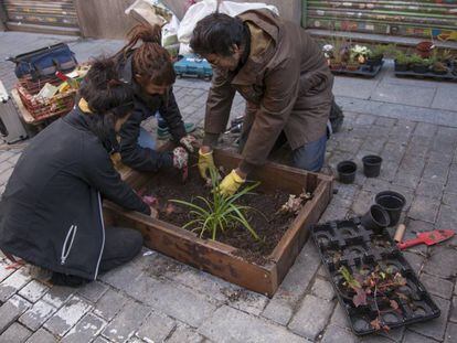 Los vecinos plantan en los alcorques de los árboles en la calle La Palma.